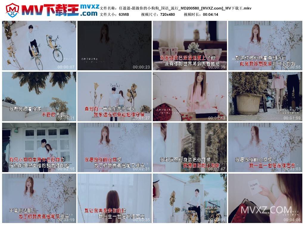 任盈盈-愿做你的小狗狗_国语_流行_MD200580